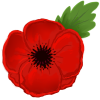 Poppy.png