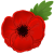 Poppy.png